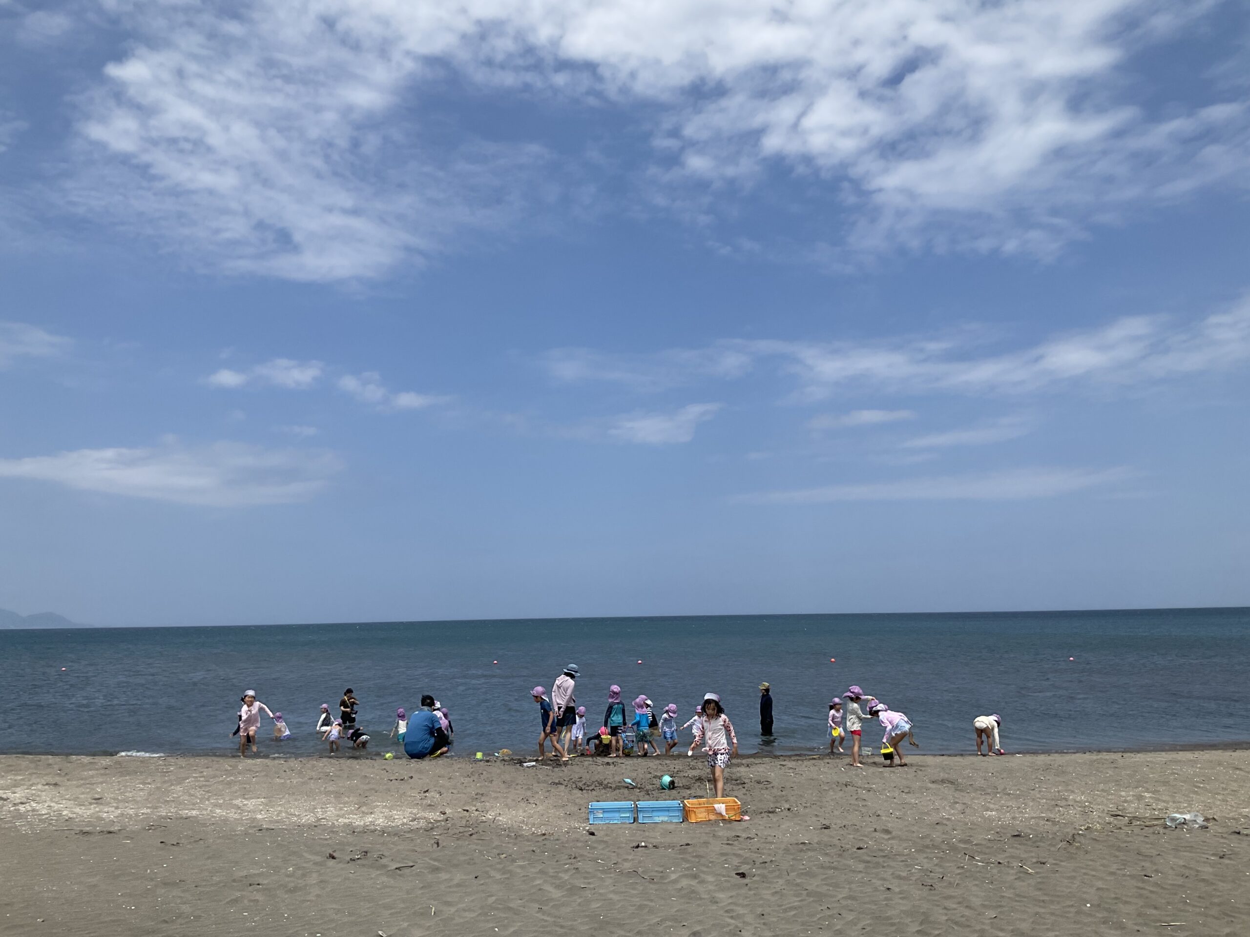 夏を満喫!海やプールでたくさん遊んだよ!