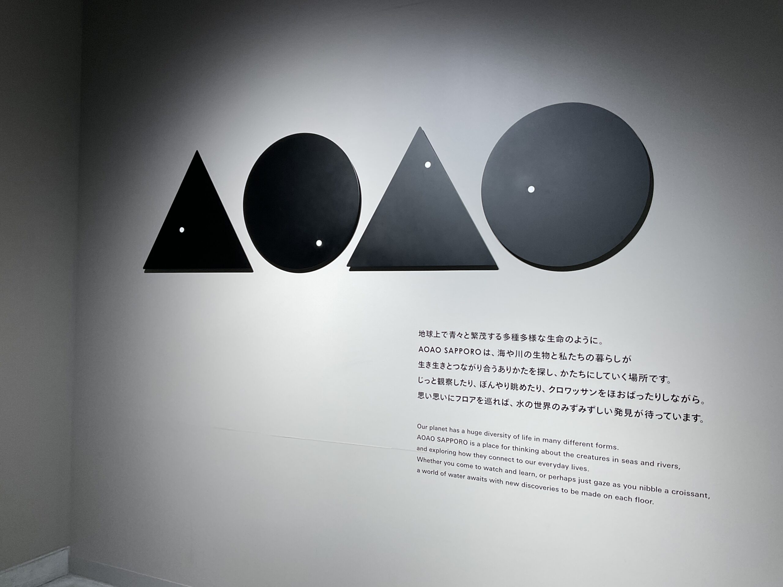 年中組　AOAO　SAPPOROに行ってきたよ！